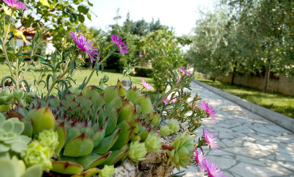 Holiday Home Magnolia Тар Номер фото